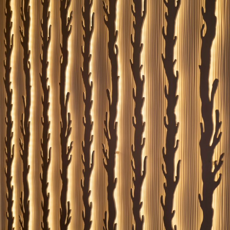 Texture de mur avec motifs de branches et éclairage doux led blanc chaud.
